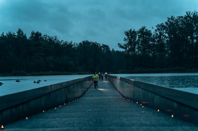 Een foto van 2024, Sportfestival