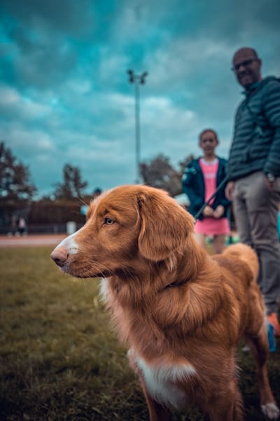 Een foto van Sportfestival 2023