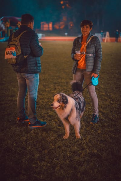 Een foto van Sportfestival 2023