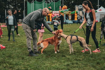 Een foto van Sportfestival 2023