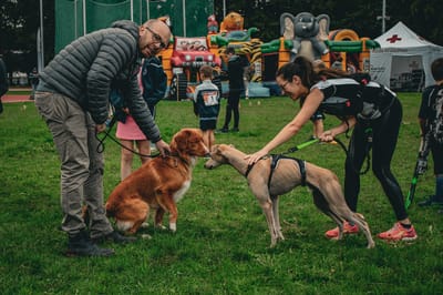 Een foto van Sportfestival 2023