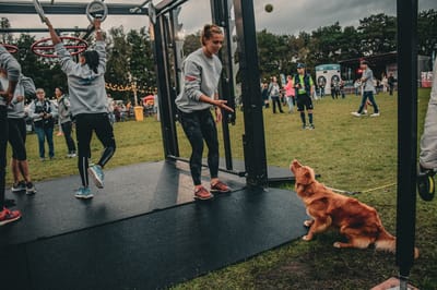 Een foto van Sportfestival 2023