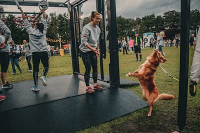 Een foto van Sportfestival 2023
