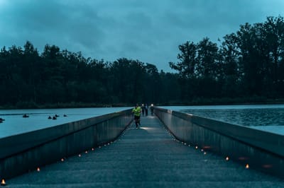 Een foto van Sportfestival 2024