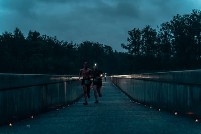 Een foto van Sportfestival 2024