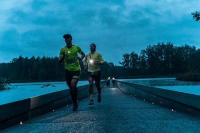 Een foto van Sportfestival 2024